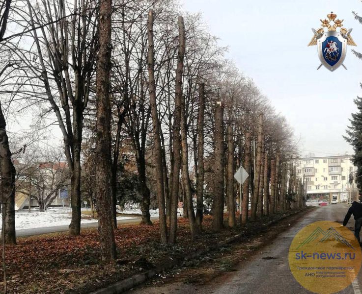 СК проверяет вырубку деревьев в центре Нальчика после протестов жителей