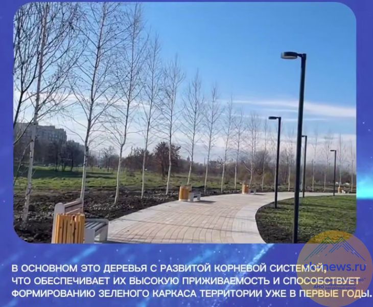 В Нальчике более 700 деревьев обновили парк, появились новые аллеи и бульвары