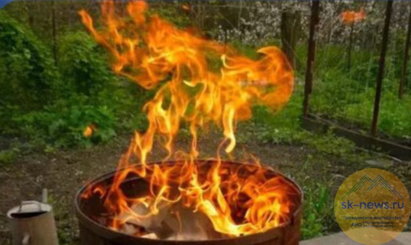 Осенний костер: Сжигание листьев опасно для здоровья и кошелька