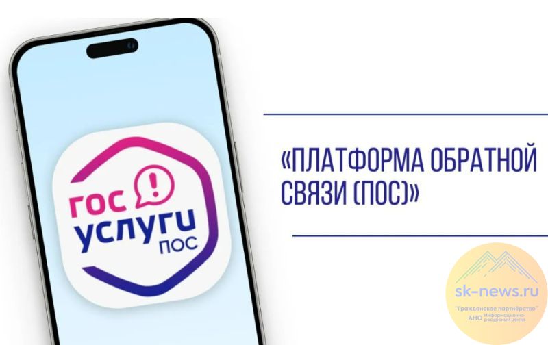 Образование и медицина — главные темы обращений жителей КБР к власти через «Платформу обратной связи»