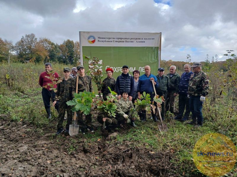 В Осетии высадили более 7 тысяч деревьев в рамках акции «Сохраним лес»
