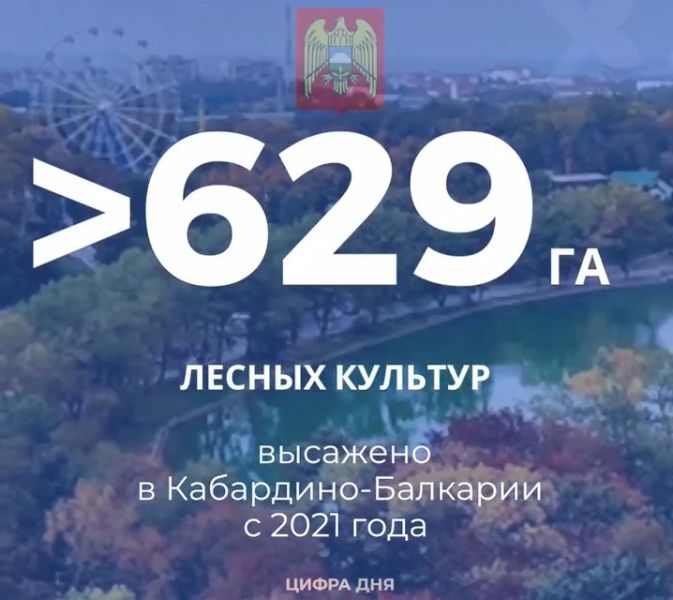 Культура