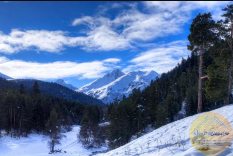 Суд в Армавире разбирает земельную тяжбу вокруг курорта «Архыз»: инвесторы могут лишиться отелей и действующего бизнеса.