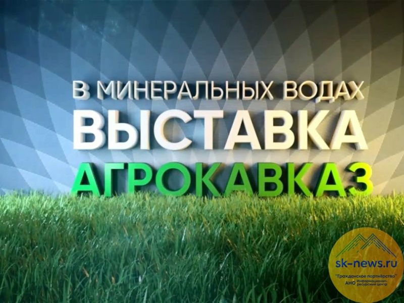 Происшествия