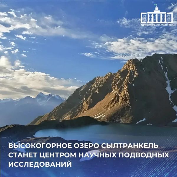 Власти
