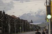 _MG_7368.JPG