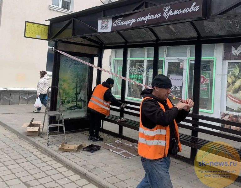 Образование