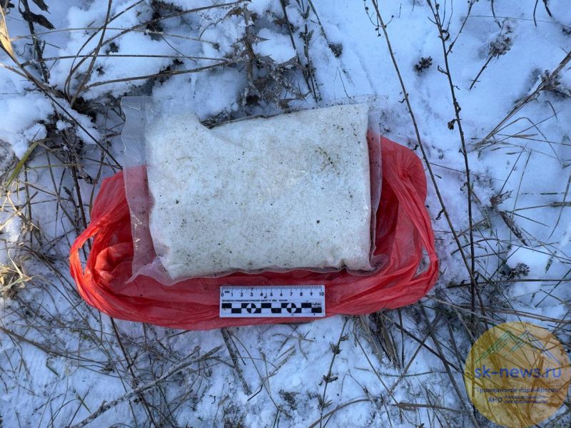 На окраине Шалушки 41-летний житель Краснодарского края хотел сбыть почти 1 кг «синтетики»