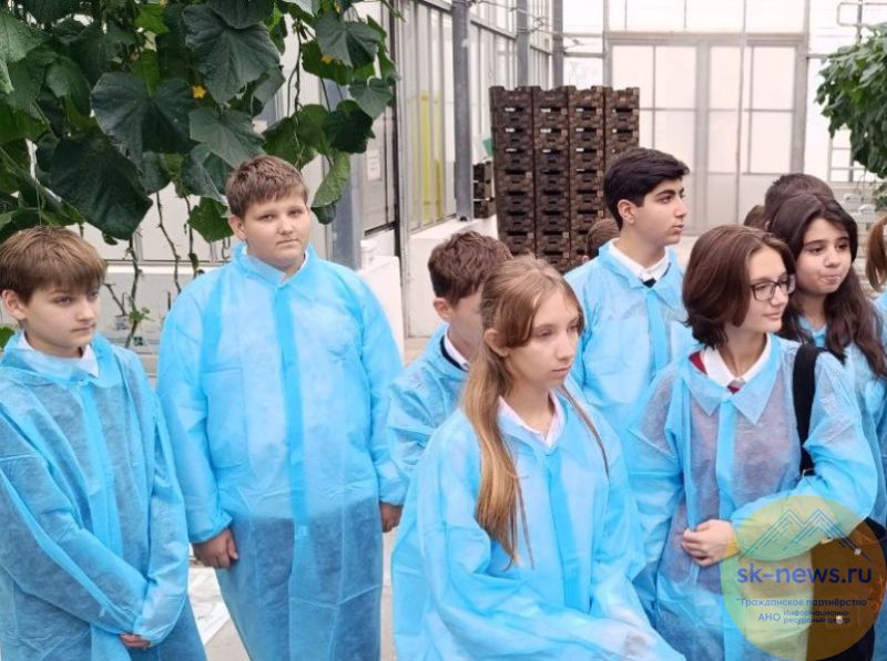 В новом учебном году школьники на Ставрополье откроют для себя профессии региона