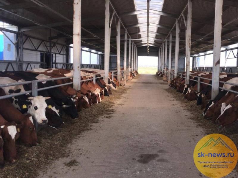 Происшествия