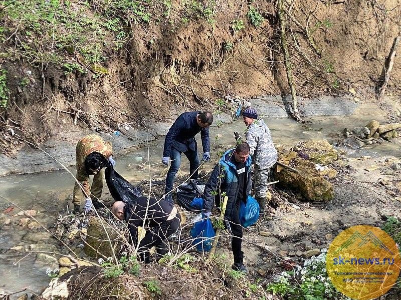 Образование