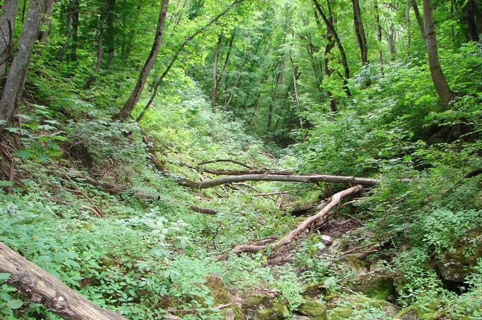 Здоровье