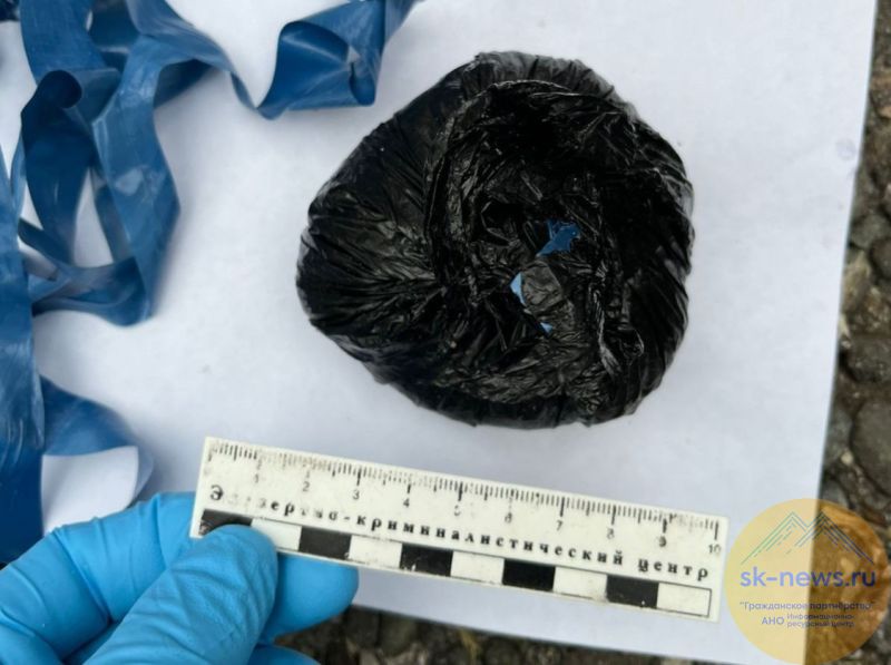 В Нальчике задержали мужчину с более чем 165 граммами героина