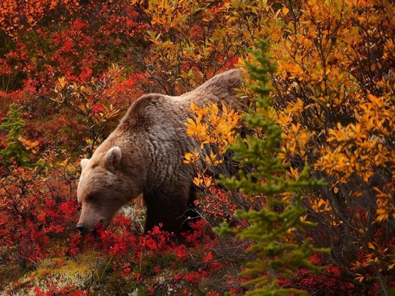 Происшествия