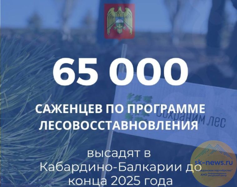 Осенью в лесах Кабардино-Балкарии высадят более 66 тысяч саженцев