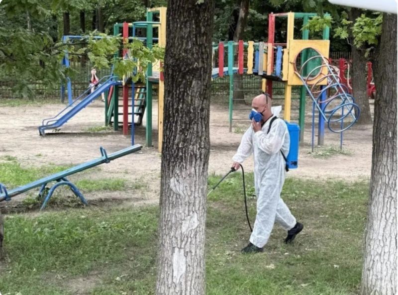 Власть