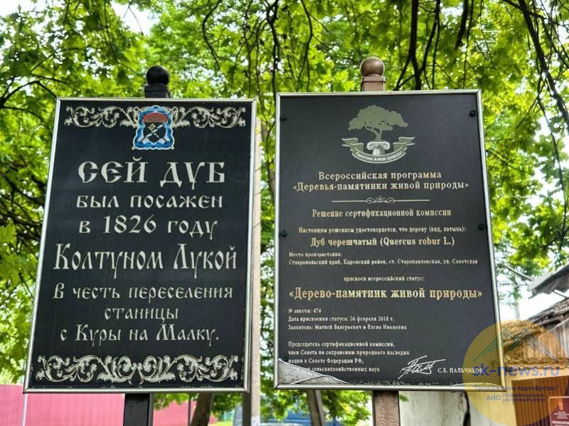 Власти