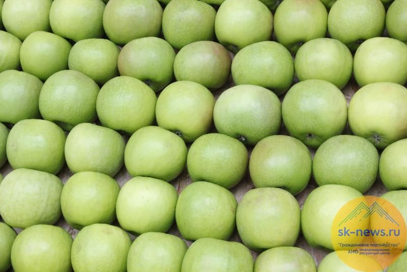 ВТБ поможет сохранить урожай яблок в Кабардино-Балкарии