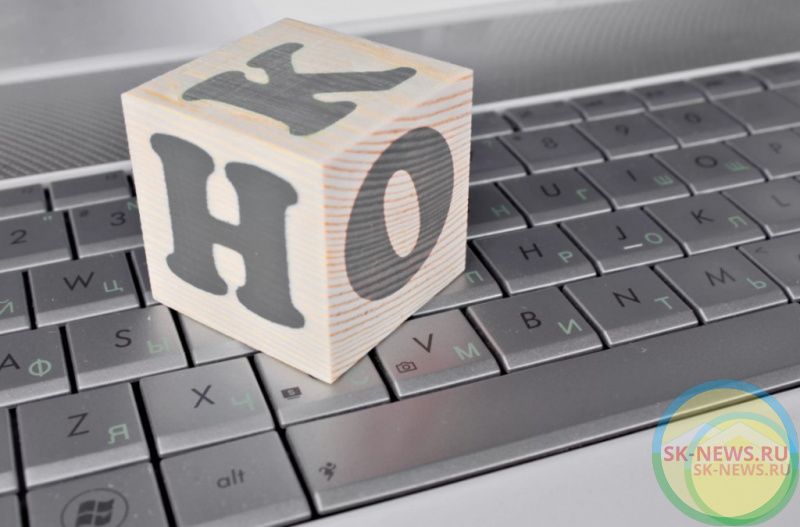 Общественник из Нальчика похитил 900 тысяч рублей гранта на реализацию Интернет-проекта