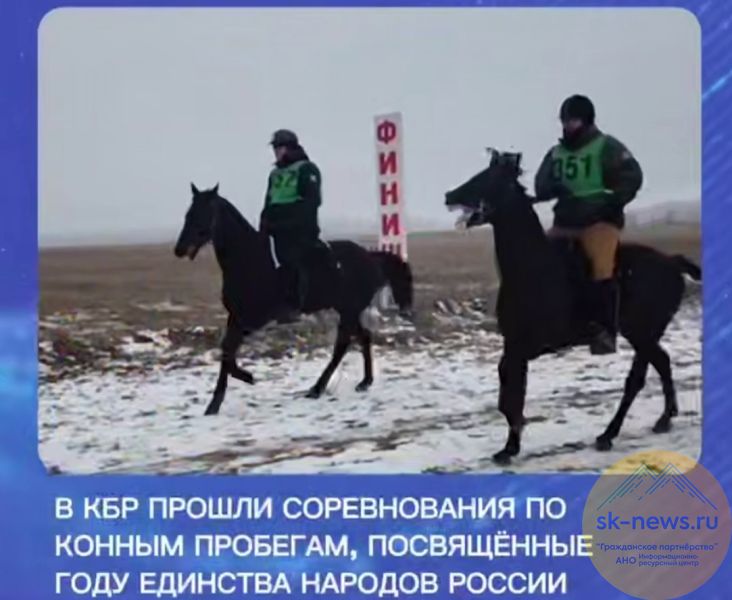 Спортсмены из Кабардино-Балкарии стали лучшими на межрегиональных соревнованиях по конным пробегам