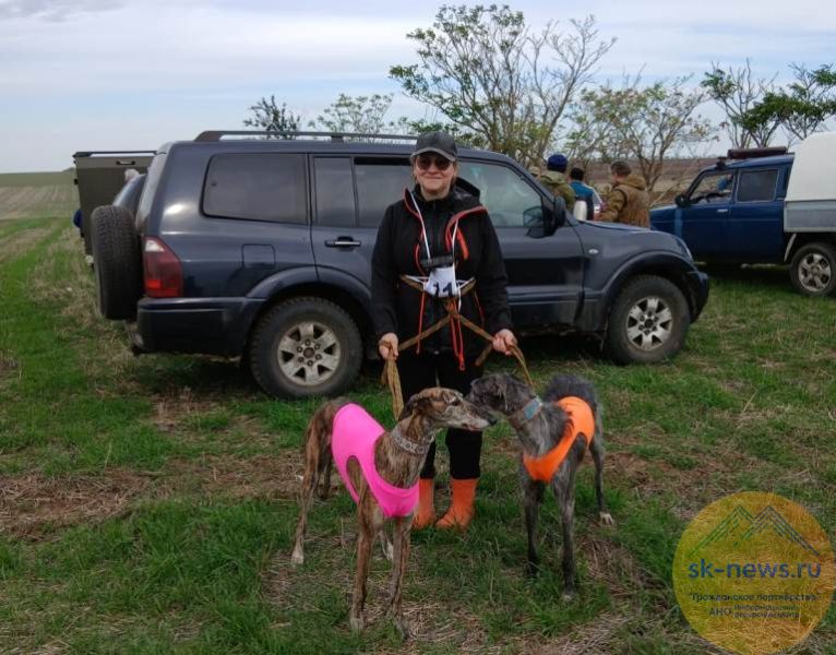 В Арзгирском округе выбрали лучших борзых собак охотников на зайца-русака