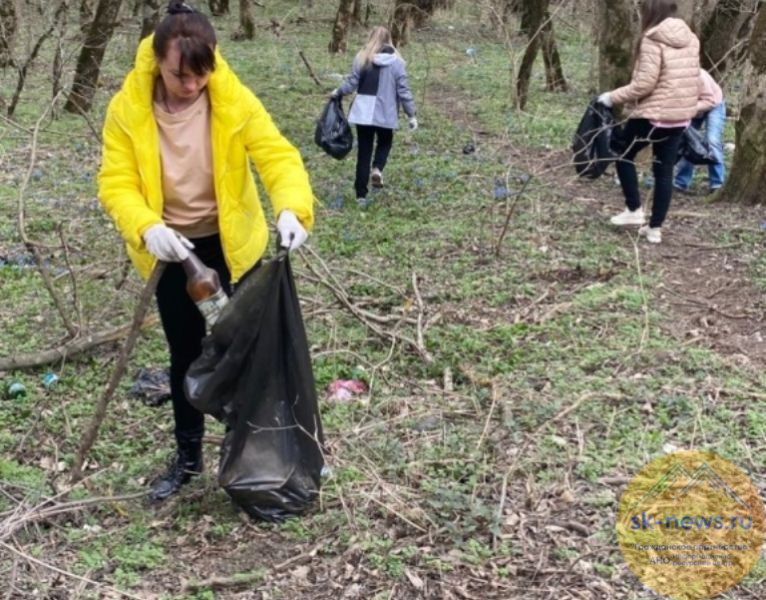 В акции «Сохраним природу Ставрополья» приняли участие 230 тысяч жителей края