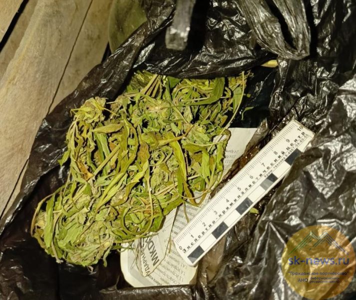 Житель села Псынабо собрал и хранил у себя дома более 1,2 кг дикорастущей конопли