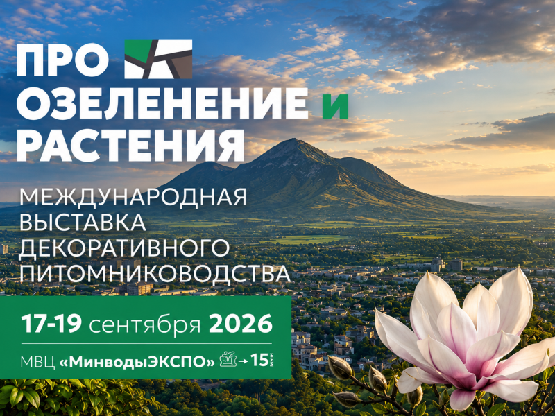 Происшествия