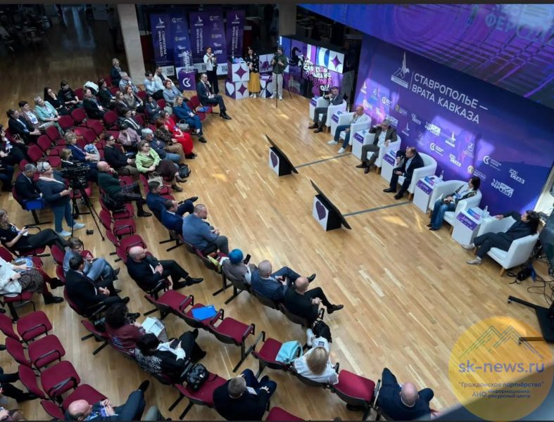 Малый и средний бизнес на Ставрополье и в республиках Северного Кавказа получит время на адаптацию к новым налоговым правилам