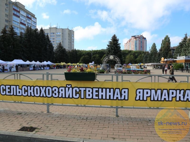 В Ставрополе в 2025 году провели почти в два раза больше по сравнению с 2024-м  продовольственных ярмарок