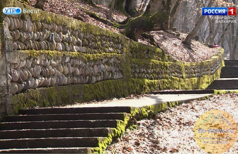 СК проверяет вырубку деревьев на популярной тропе здоровья на гору Большая Кизиловка в Нальчике