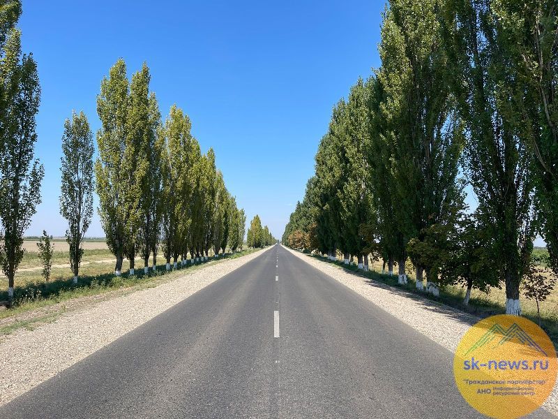 Прогноз погоды сафоново смоленской. Погода в сафоново на декабрь 2023. Прогноз на год. Прогноз погоды в смоленске. Погода в сафоново на декабрь 2023.