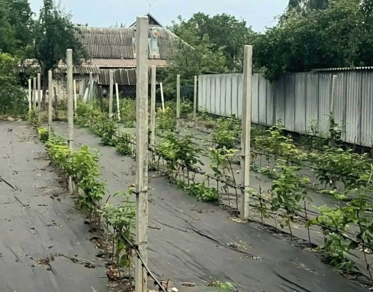 Происшествия