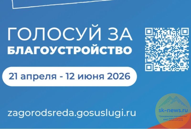 Общественные организации