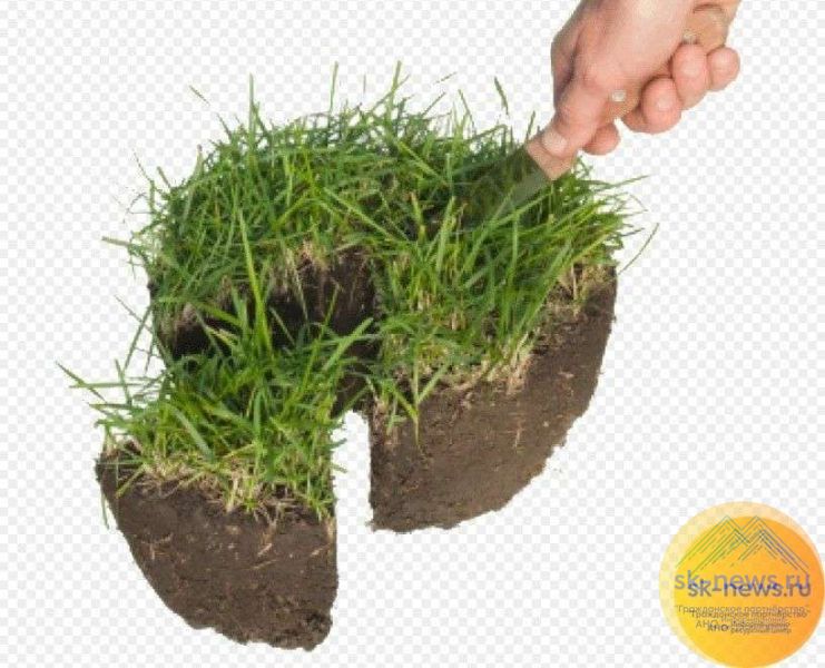 Летопись СВО