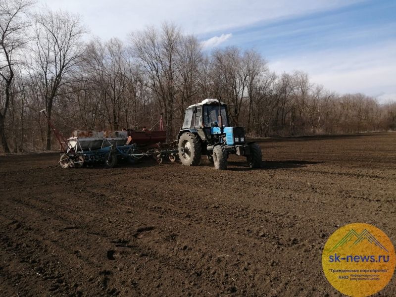 Сельское хозяйство