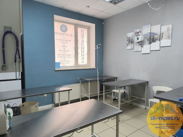 От вышивки до ветеринарии: как ставропольцы меняют жизнь с помощью соцконтракта, получив больше 200 тысяч на свое дело