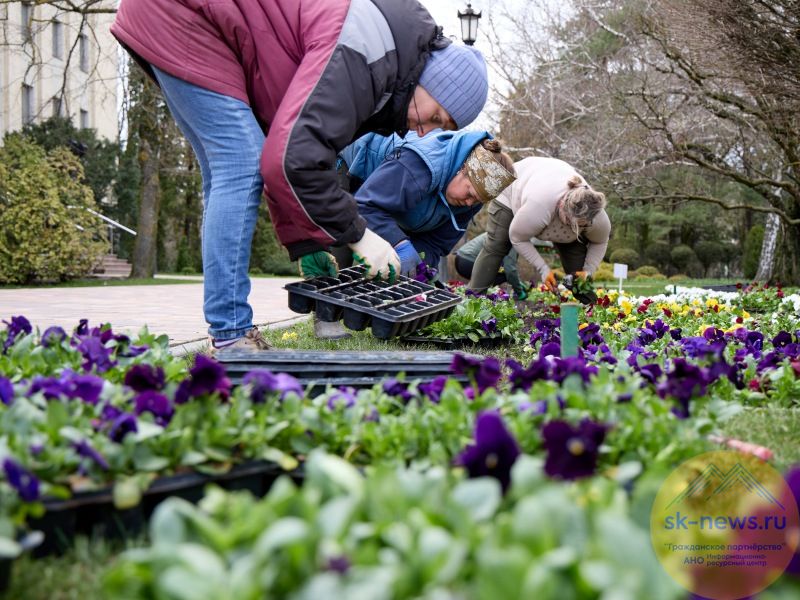 Сельское хозяйство