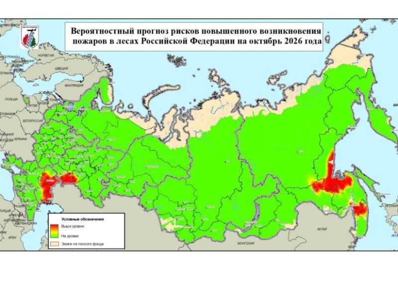 Происшествия