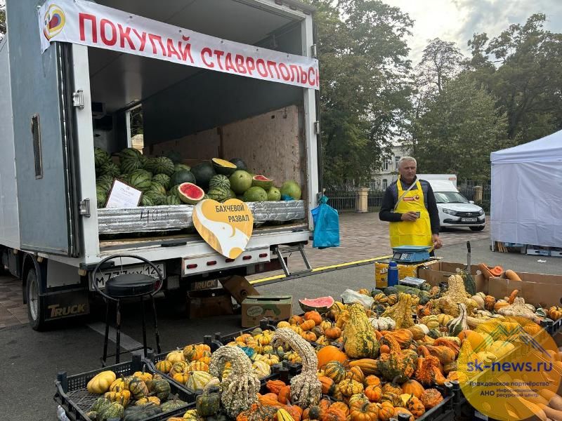 Продукцию на почти 4 млрд рублей  реализовали в 2025-м на 28 тысячах ярмарок на Ставрополье