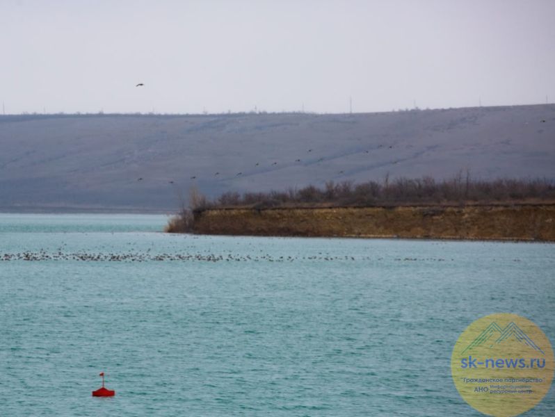 Не повторить 2017 год, когда в регион пришла большая вода, велел глава Ставрополья