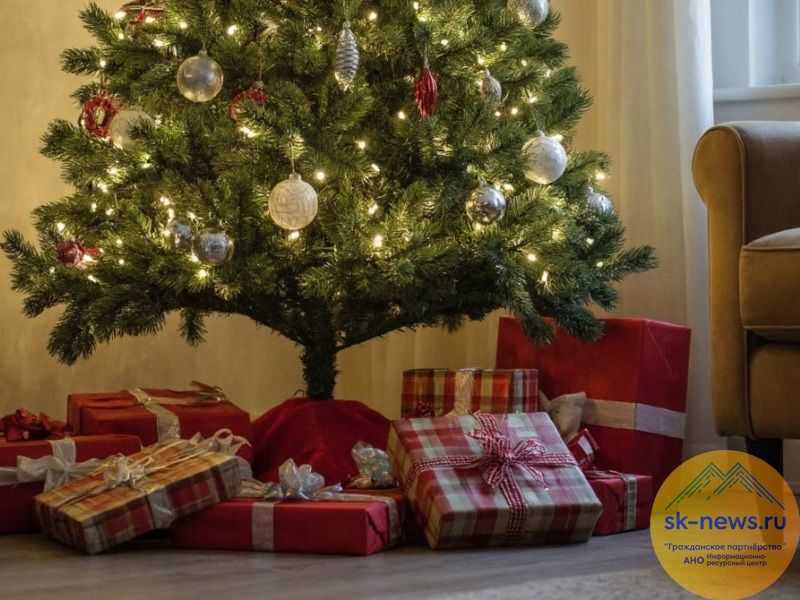 Две трети жителей СКФО будут использовать искусственный интеллект при планировании Нового года