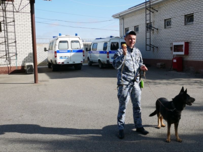 В КЧР задержали забившего до смерти в процессе драки противника 54-летнего жителя посёлка Медногорский