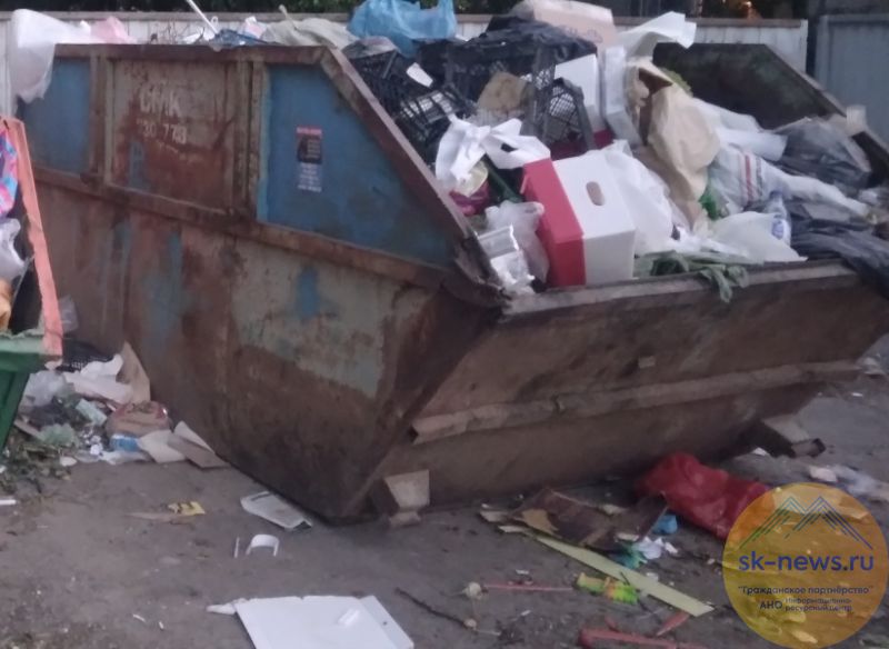 За продолжительные новогодние праздники ставропольчане намусорили на более 24 тысячи тонн