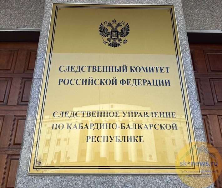 Почти 300 человек пострадали от бездомных собак в Нальчике: на чиновников завели дело