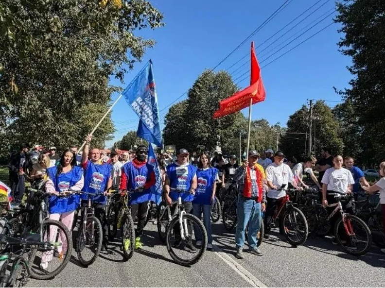 Власти