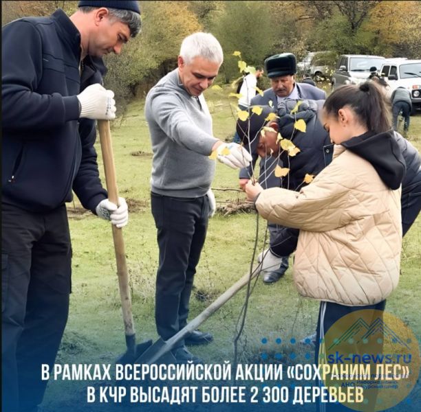 В Карачаево-Черкесии высадят тысячи деревьев: стартует акция «Сохраним лес»