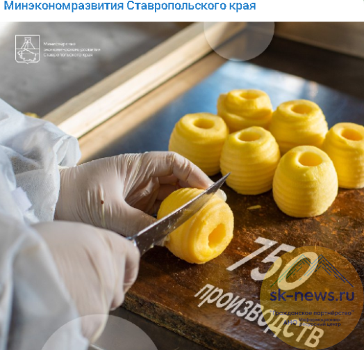 Для потенциальных инвесторов на Ставрополье запустили новый бизнес-проект «День производителя»