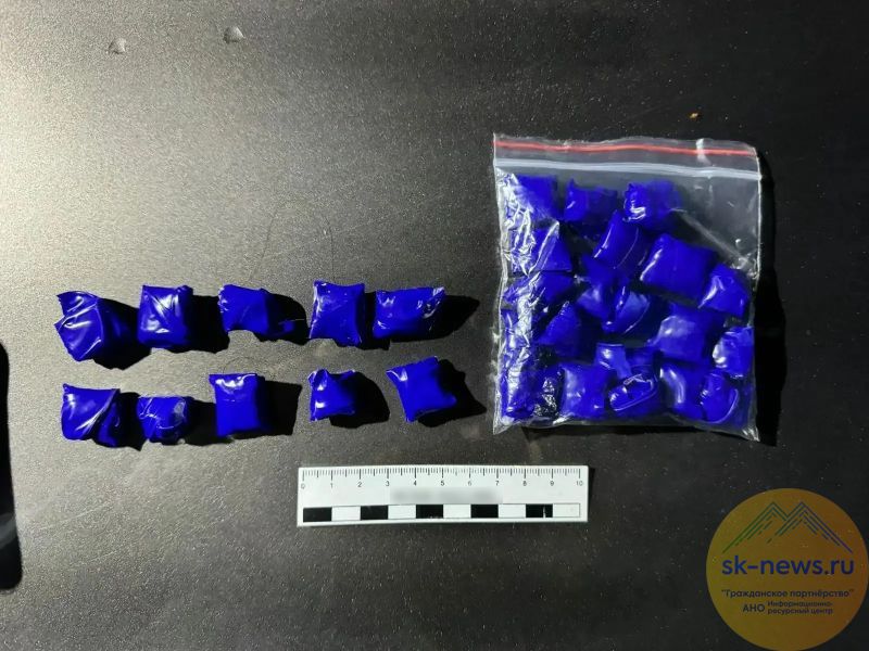 Образование