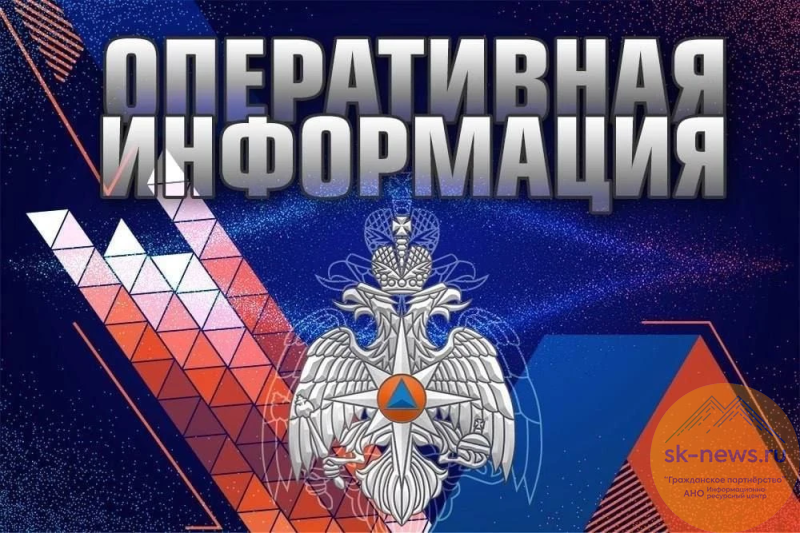 Спорт